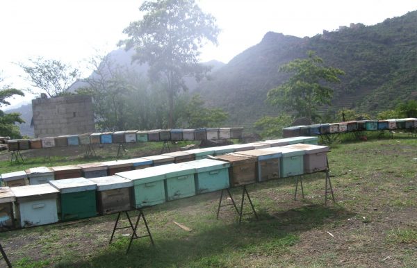 SIDR honey farm